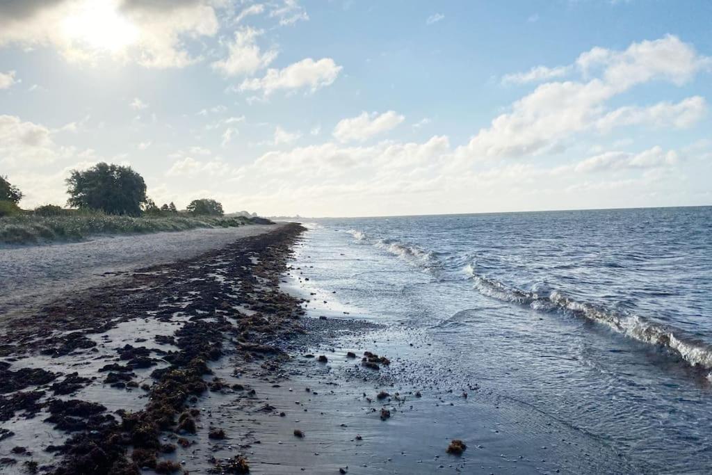 Dennis Beachhouse * Trelleborgs kommun
