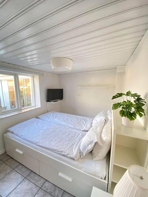 Dennis Beachhouse